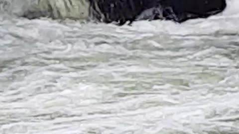 Close Up of the Water Being Turned by a Water Fan