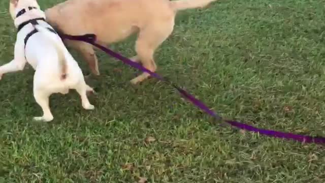 When you think of your best bud, and he appears so, all you want to do is this!!!