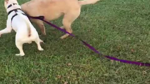 When you think of your best bud, and he appears so, all you want to do is this!!!