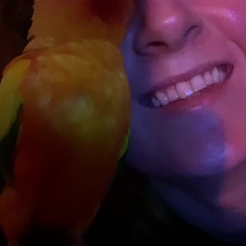 Parrot Sings Along with Mom