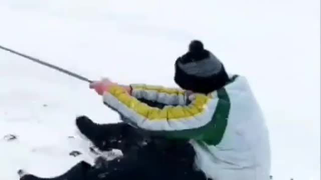 the horse framed very hard