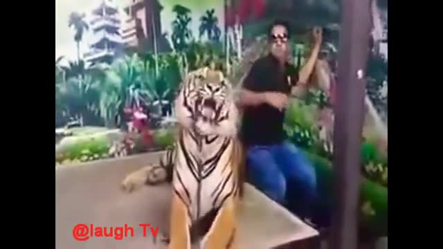 Funny videos | Try not to laugh #1 | Indian version !