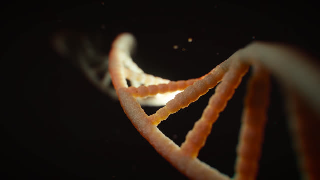 Dna 3d video