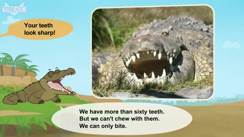 Meet the Animals | Nile Crocodile | Wild Animals | Stories for Kindergarten