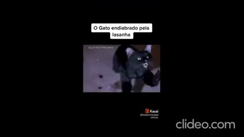 o gato quer lasanha agora.mp4