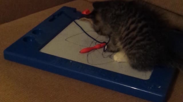 Cutest artistic kitten