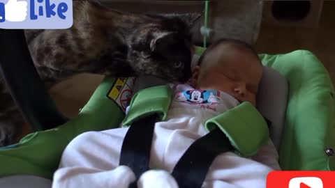 Cats Meeting Babies Compilation Part 01