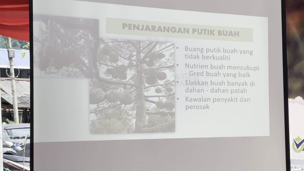 Teknologi Tanaman Durian 24072024 - Part 4