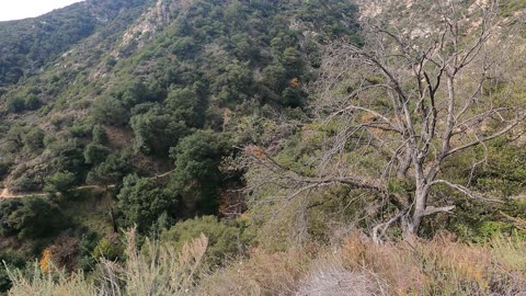 Mount Wilson trail