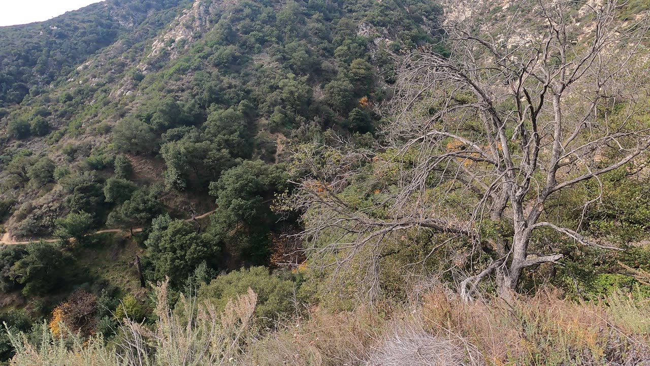 Mount Wilson trail