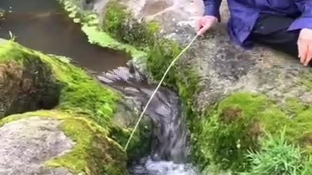 Best Fishing Video 🐟 Amazing Fishing 🔴- BigFishingTV 🔴 Tik Tok China #shorts