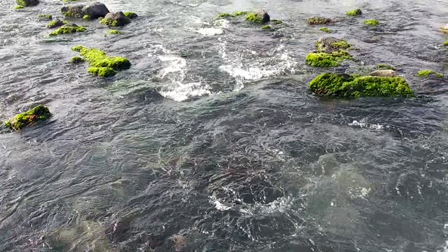 Seogwipo City, Jeju Island, Korea / Spring water phenomenon