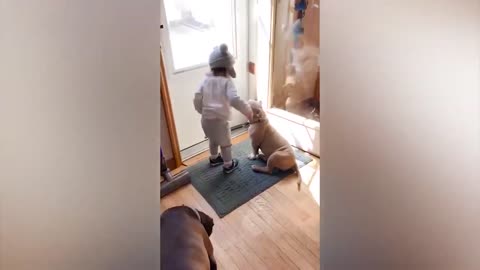 Funny dogs who enjoy a sense of humor with children