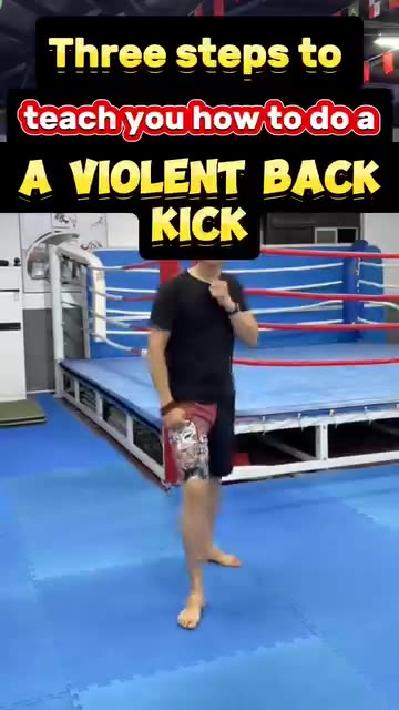 Spinning Hook Kick