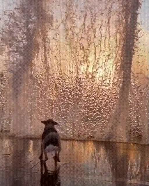 Incredibly beautiful shot!