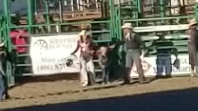 Mutton Busting