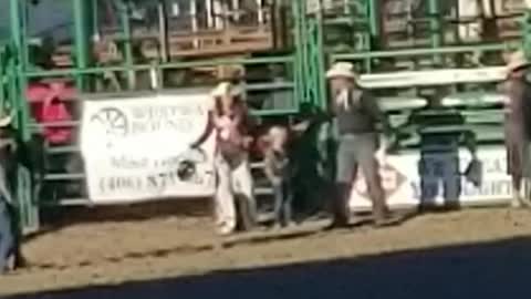 Mutton Busting