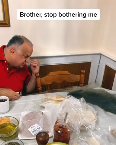 Table top cat strikes again