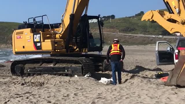 Tractor on beach to help sailing boat stuck on sand