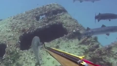 Underwater fishing