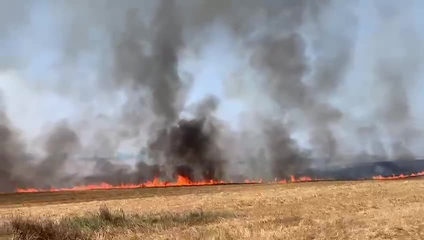 fire on filed