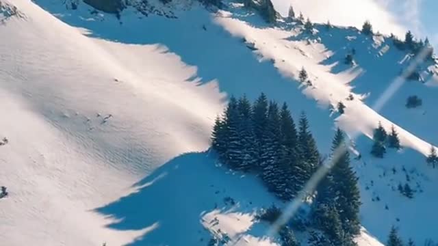 This incredible view 🏔️💙🌲