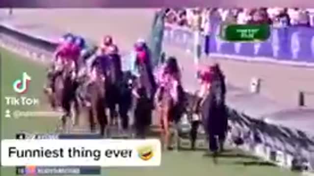 Covid Christmas Sweepstakes 2021