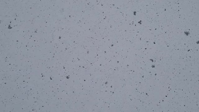 Snow in slow motion