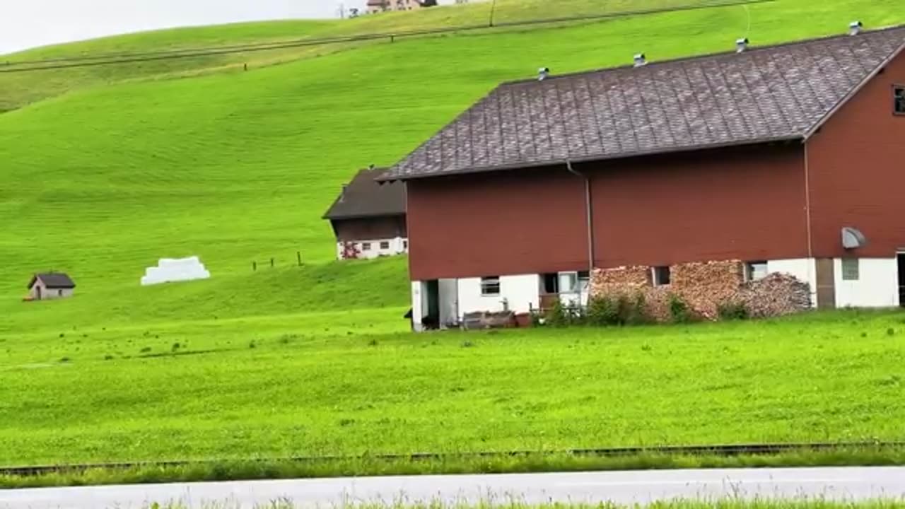 Life in a Swiss Alpine village | Heavy rain fell while cows were grazing outside the farm!!