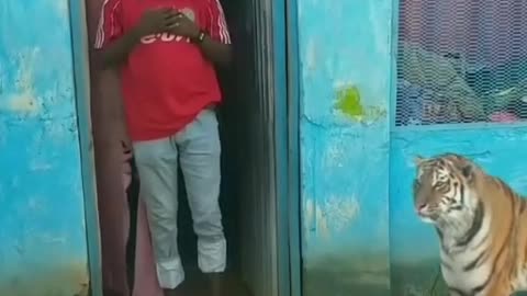 Africa routine