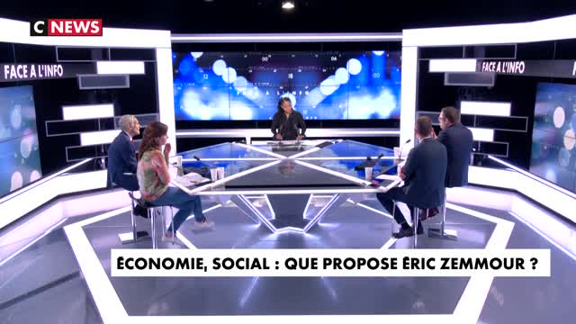 Zemmour, le déclin français (sondage), l'immigration zéro