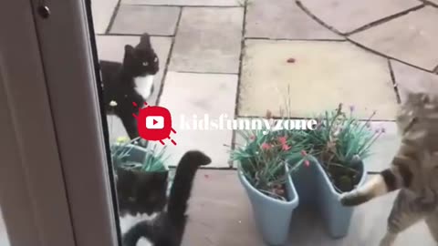 😂 The Funniest Fails and Bloopers (Try Not to Laugh Challenge) 🤣 part-8