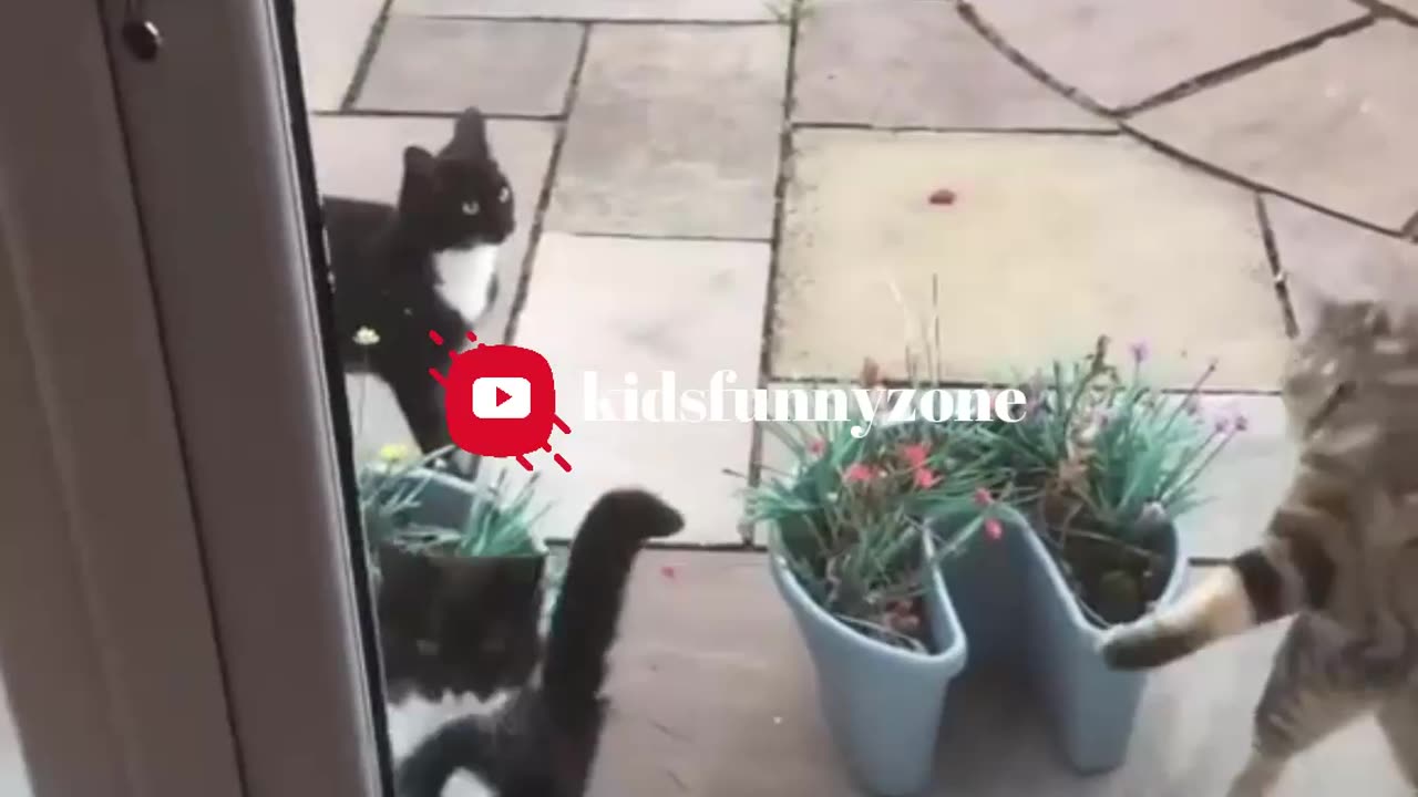 😂 The Funniest Fails and Bloopers (Try Not to Laugh Challenge) 🤣 part-8