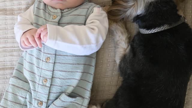 baby-and-dog-lying-together-on-the-sofa