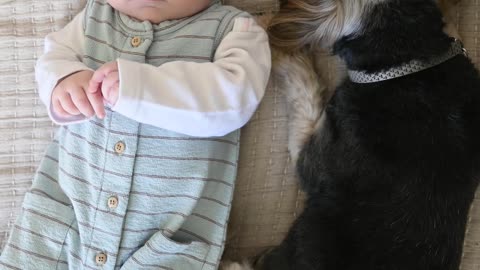 baby-and-dog-lying-together-on-the-sofa