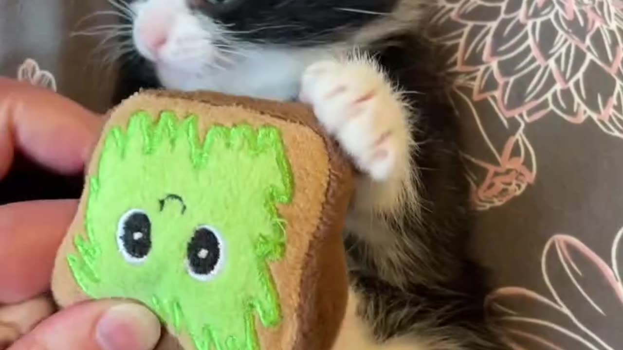 Who loves avocado toast as much as Archie