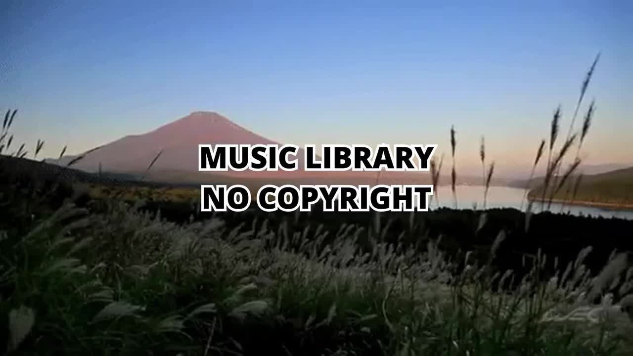 Relaxing Music | Sleeping, Meditation, Stress Relief | [75] ⭐️