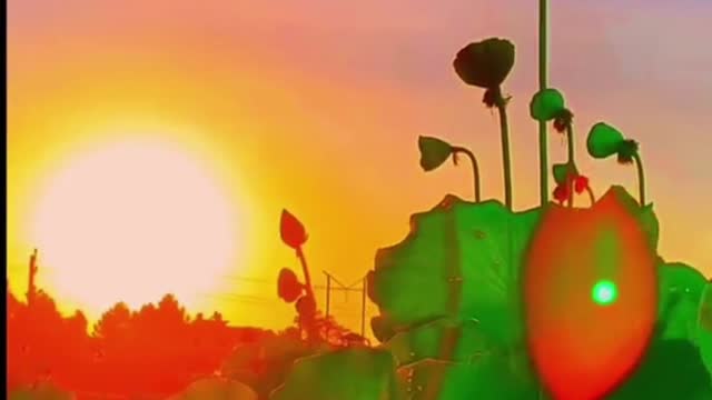 The scenery is picturesque and colorful and beautiful