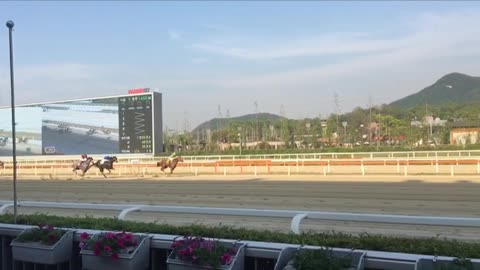 Racetrack in Korea