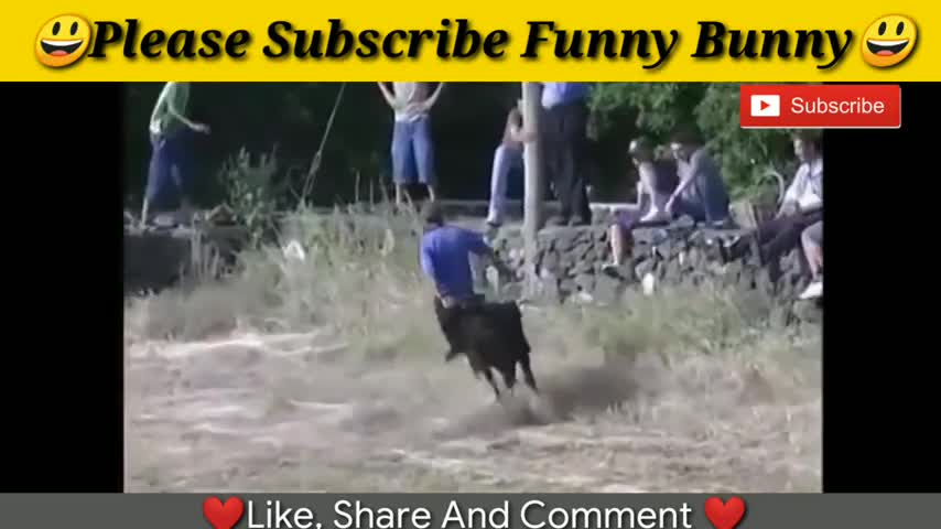 Wow funny videos 2021 Most awesome bullfighting festival funny crazy bull fails