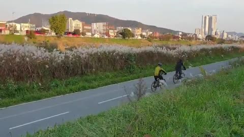 Citizens who ride bicycles.