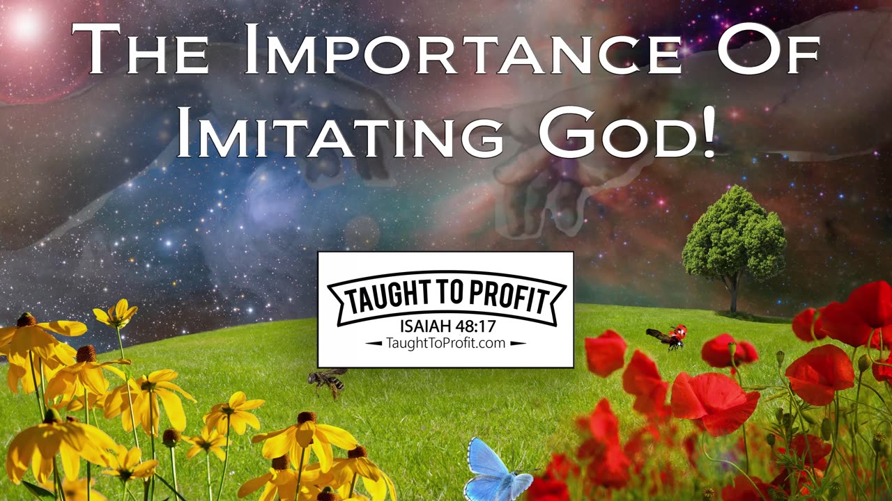 The Importance Of Imitating God - Co-Creators With God Book By Ryan Hicks