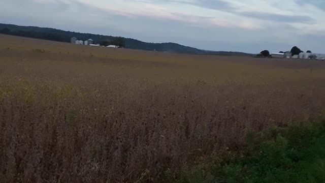 Abundant farm land in the USA, Chinese Communist's want it.