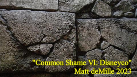 Common Shame VI: Disneyco