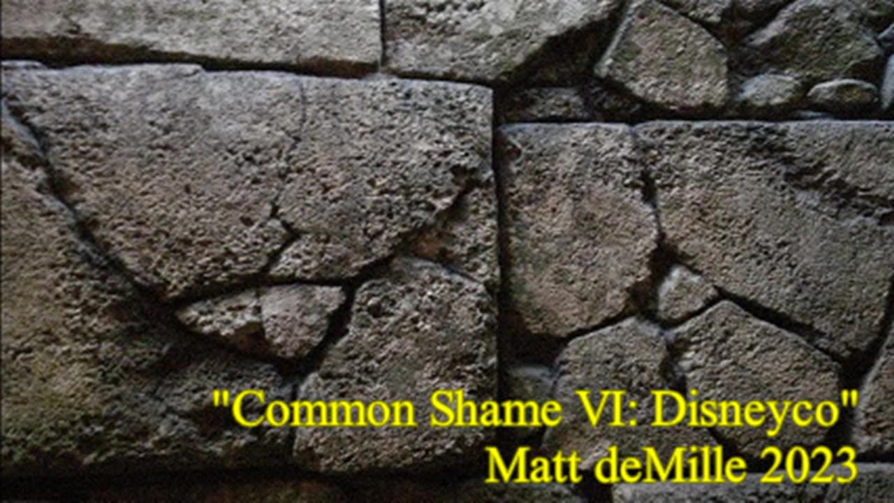 Common Shame VI: Disneyco