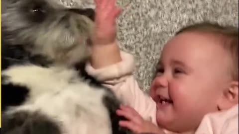 cute baby moments ever