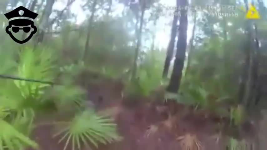 Body Cam Police Footage Of K-9 Tracking Down Suspect In Florida