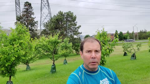 SEGUNDO INVIERNO..EL QUE SOLAMENTE TIENE LLUVIA ☔️ (Junio 9, 2022)
