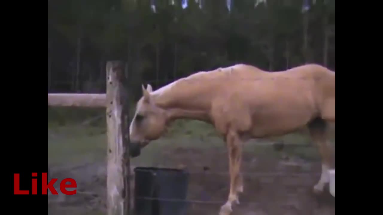 You haven't seen this before