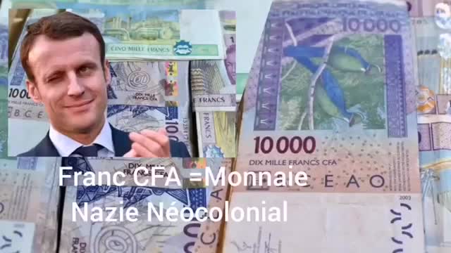 une deputee italienne
